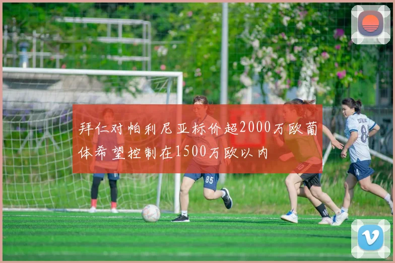 拜仁对帕利尼亚标价超2000万欧葡体希望控制在1500万欧以内