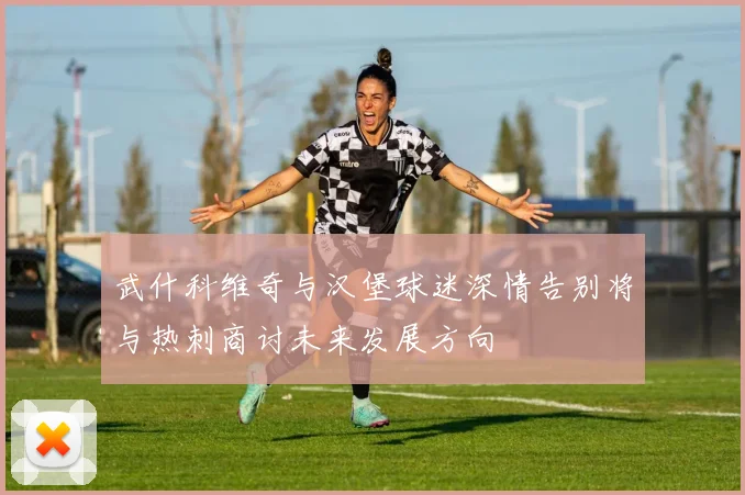 武什科维奇与汉堡球迷深情告别将与热刺商讨未来发展方向